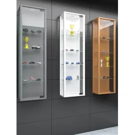 VCM Glasvitrine hängend Vitrine Glas mit ESG-Sicherheitsglas Maße ca. H. 115 x 33 x 18 cm Hängevitrine Stano Mini
