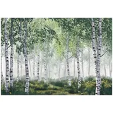 WallArena Fototapete Wald Landschaft 150x105 cm