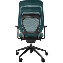 FM Helmets Asiento Stoff Blau