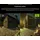 Inno3D GeForce RTX 5070 Ti X3 OC White 16GB Grafikkarte 3xDP/HDMI