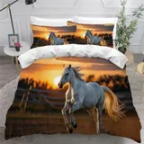 NYSMGS Bettwäsche 155x220 Pferd Kinder Teenager 3D Druck Tiere Sonnenuntergang Bettbezug Weich 100% Mikrofaser Bettwäsche-Sets 2Teilig mit Reißverschluss und Kissenbezüge 80x80 cm A565