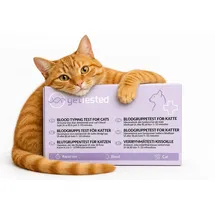 gettested Blutgruppentest Katze 1 St.