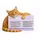 gettested Blutgruppentest Katze 1 St.
