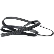 DAYCO Keilrippenriemen