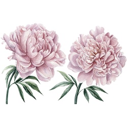 Wandtattoo QUEENCE „Lilly“ Wandtattoos Gr. B/H: 70 cm x 70 cm, Blume, rosa Wandtattoos Natur