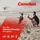 Camelion Mignon AA 2700 mAh 24 St.