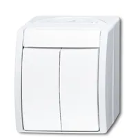Busch-Jaeger Serienschalter 2601/5 W-54
