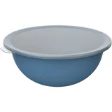 Rotho Caruba Schüssel 4.8l mit Deckel, Kunststoff (PP) BPA-frei, blau/transparent, 4.8l (32.2 x 30.5 x 13.3 cm)