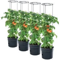 Prosperplast 4X Tomatenpflanze Pflanzkübel - 295 x 1152 mm