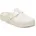 Eva eggshell 1631