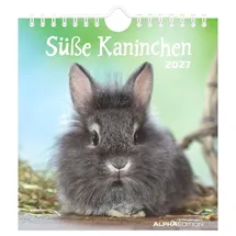ALPHA EDITION GmbH & Co. KG Süße Kaninchen 2027: Postkartenkalender 16x17 cm mit 12 Kaninchenmotiven, Tisch- und Wandkalender, 12 Postkarten zum Heraustrennen