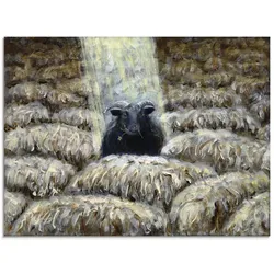 Glasbild ARTLAND "Schwarzes Schaf", braun (farbe bild(er): braun), B:60cm H:45cm, Bilder, in verschiedenen Größen