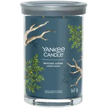 Yankee Candle Bayside Cedar Duftkerze 567 g blau