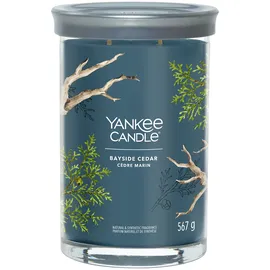 Yankee Candle Bayside Cedar Duftkerze 567 g blau