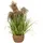 Atmosphera Künstliches Gras - | 80 cm