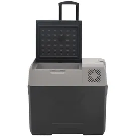 vidaXL Kompressor Kühlbox 50 l