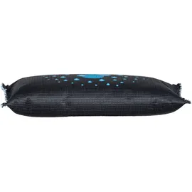 Wenko Auto-Entfeuchter mit Indikator, 400g, 2er-Set