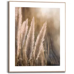 Reinders Wandbild 40 x 50 cm Pampas Holz Beige