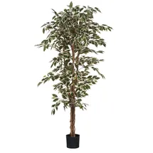Mica decorations Ficus - Kunstpflanze - Bunt, - H 180 cm
