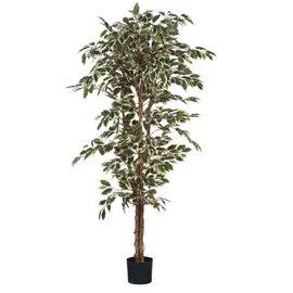 Mica decorations Ficus - Kunstpflanze - Bunt, - H 180 cm