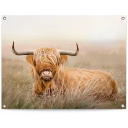 Poster REINDERS "Hochlandrind", beige (farbe bild(er): beige), B:80cm H:60cm T:0,1cm, Leinwand, Bilder