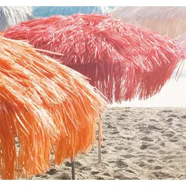 jan kurtz Hawaii rot