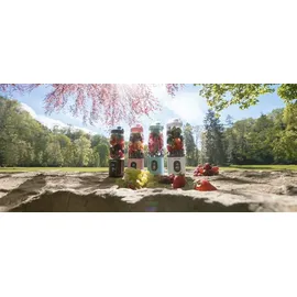 Concept SM4003 Standmixer