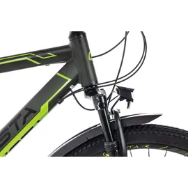 Ciclista Adventure 29 Disc 48 cm 29 Zoll bizzgreen-matt Black Apple