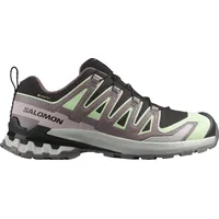 Salomon XA Pro 3D V9 GTX Damen Black/Patina Green/Gray Violet 38