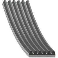 FEBI bilstein Keilrippenriemen