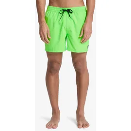 QUIKSILVER Everyday Solid Volley 15 Badeshorts Grün XXL