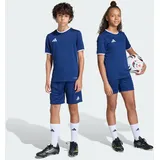 adidas Entrada26 Team Navy Blue/White 116