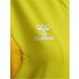 hummel hmlAUTHENTIC PL Zip Hoodie WOMAN blazing yellow XS
