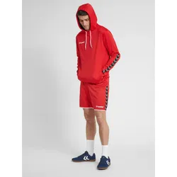 Poly Hoodie Hmlauthentic Multisport Herren HUMMEL L