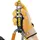 Petzl Zillon Verbindungsmittel 2,5 m Schwarz