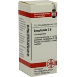 DHU-ARZNEIMITTEL SYMPHYTUM D 6