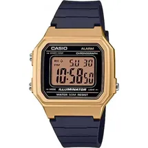 Casio Sportuhr W-217HM-9A