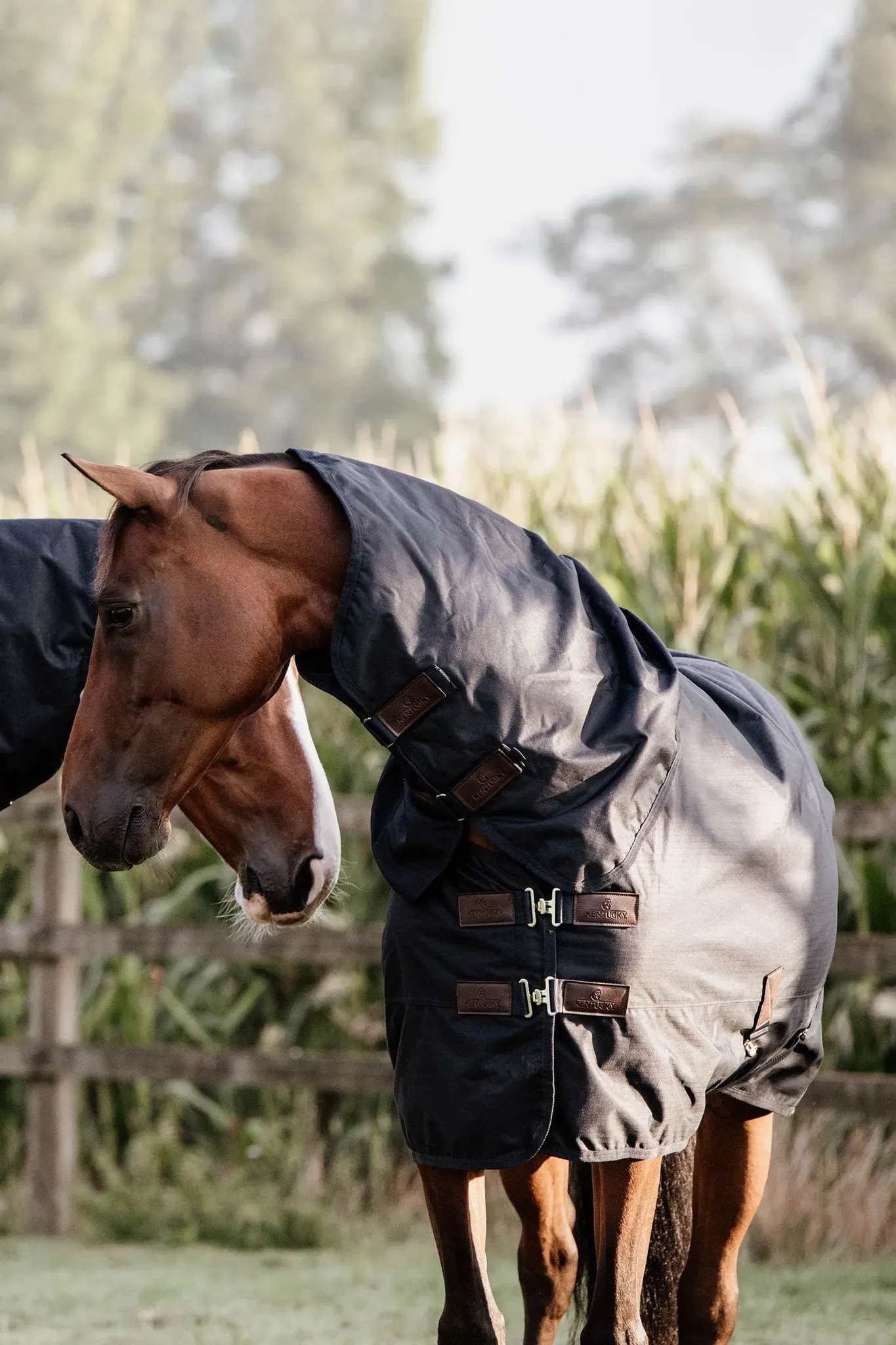 Kentucky Horsewear All Weather Waterproof Classic Regendecke, 0g