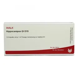 Hippocampus Gl D15 Ampullen