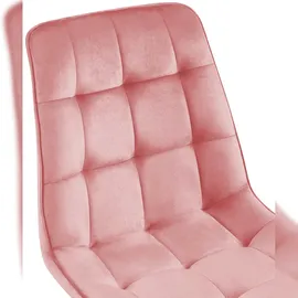 CLP Esszimmerstuhl Gifford Samtbezug I Küchenstuhl mit Rückenlehne