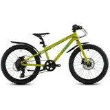 Cube Acid 200 Disc FE lizard ́n ́blue