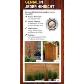 Xyladecor Holzschutz Lasur Plus Grau 4 l