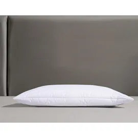 fan Klima Active Plus 40 x 80 cm Weiß