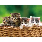 Cornelißen 3 D Platzset Katzen, 2erSet, Tischset, Tier Tiere, Katze Kätzchen Haustiere
