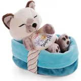 NICI 47893 - Sleeping Pets, Siamkatze, Schlafende Katze im Körbchen, beige/blau-türkis