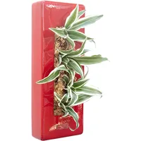 Flowerbox Box 40 - rot - 40x16 cm