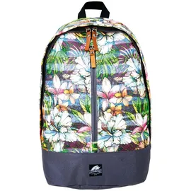 F2 Settler happiness