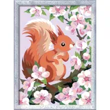 Ravensburger Malen nach Zahlen 20064 - Neugieriges Eichhörnchen