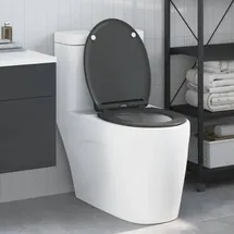 vidaXL Toilettensitz Quick Release Absenkautomatik Anthrazit