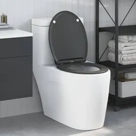vidaXL Toilettensitz Quick Release Absenkautomatik Anthrazit